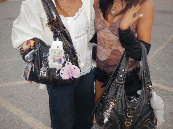 elegant bag