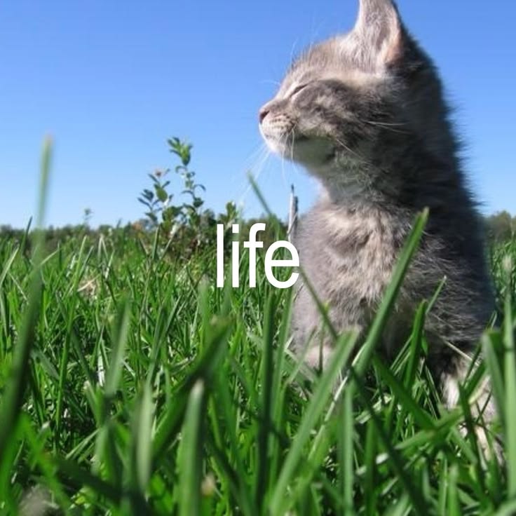 My Blog